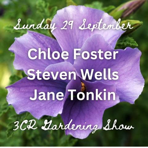 29 September, Chloe Foster joined by Steven Wells and Jane Tonkin | 3CR